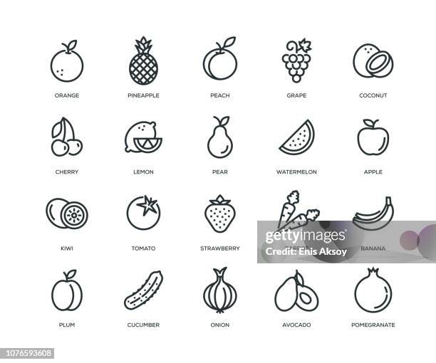 bildbanksillustrationer, clip art samt tecknat material och ikoner med frukt och grönsaker ikoner - line serien - apelsin