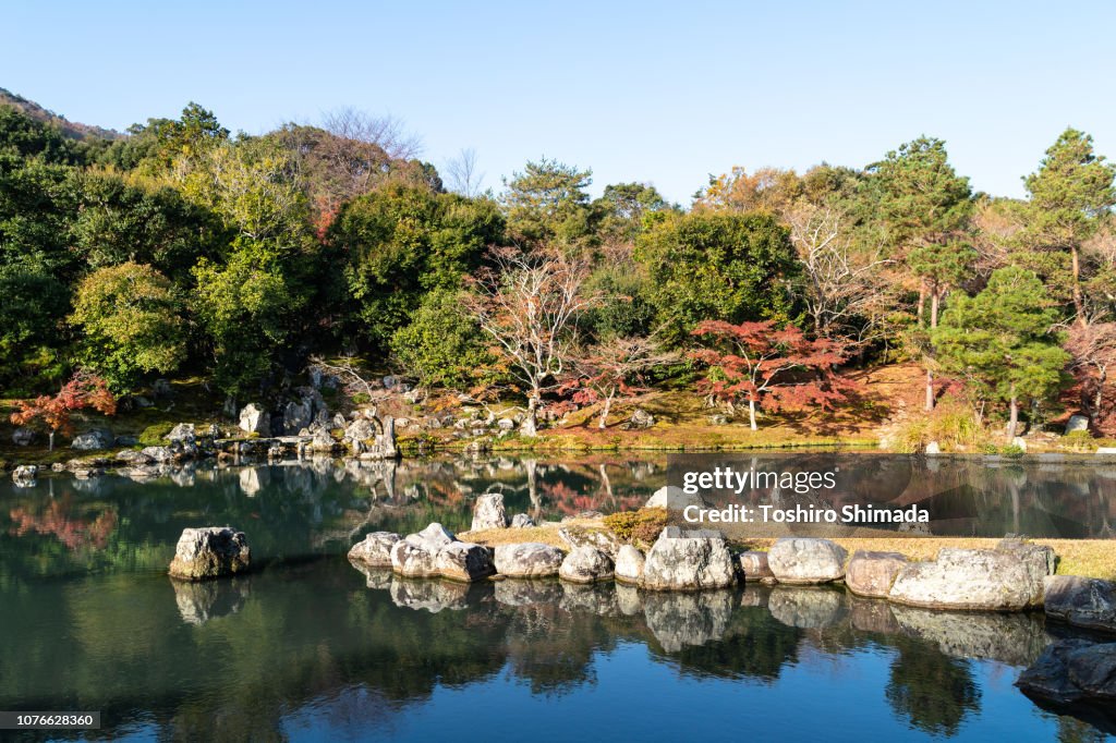 Tenryuji temple's garden - Kyoto, Japan