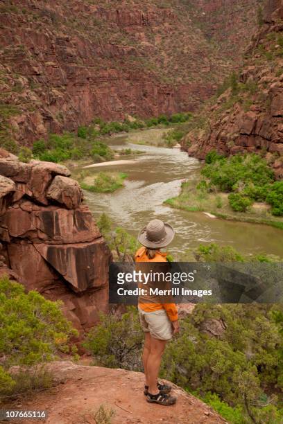 woman on cliff above green river - dinosaur national monument stock pictures, royalty-free photos & images