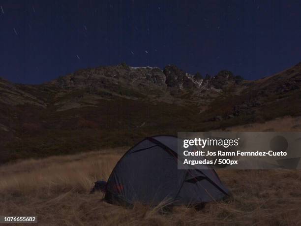 durmiendo bajo el curavacas - durmiendo stock pictures, royalty-free photos & images