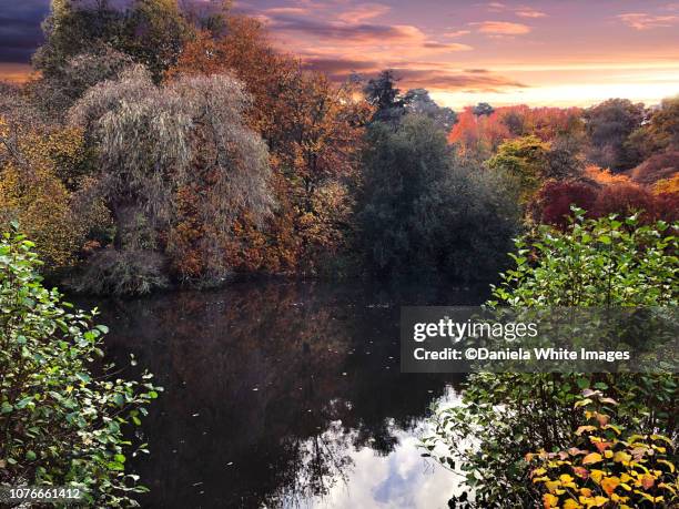 autumnal landscapes - surrey stock pictures, royalty-free photos & images