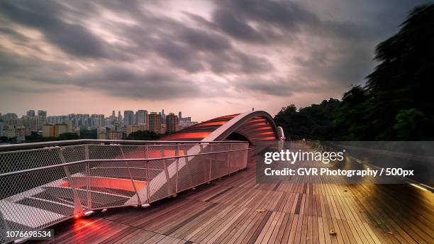 sunrise from henderson waves bridge - henderson waves bridge stock pictures, royalty-free photos & images