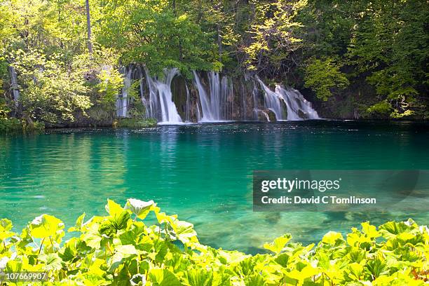 attractive waterfall, plitvice np, croatia - plitvicka jezera croatia 個照片及圖片檔