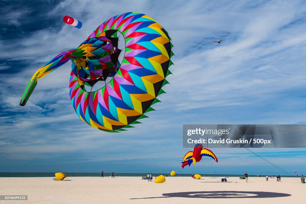 Kite Festival
