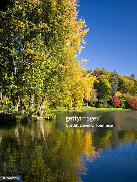 autumn reflections, stourhead, england - stourhead wiltshire stock pictures, royalty-free photos & images