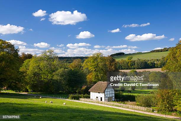 rural scene near chichester, england - rieten dak stockfoto's en -beelden