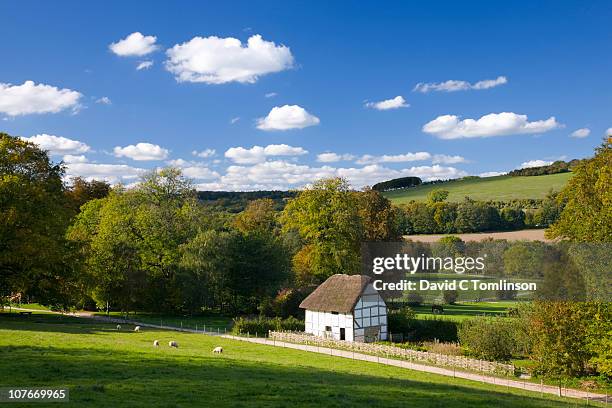 rural scene near chichester, england - chichester stock pictures, royalty-free photos & images