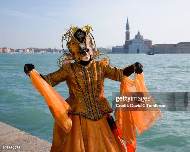 carnival character in costume, venice, italy - carnaval de venecia fotografías e imágenes de stock