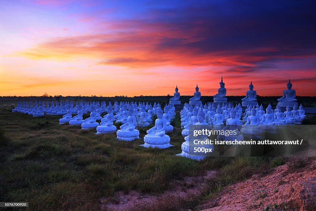 White Buddha Statue