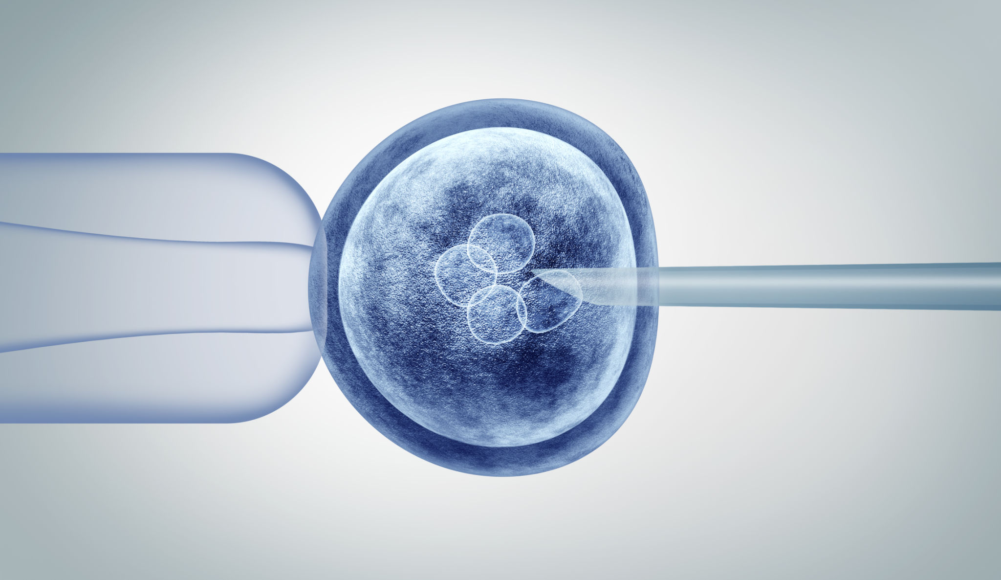 stem cells research