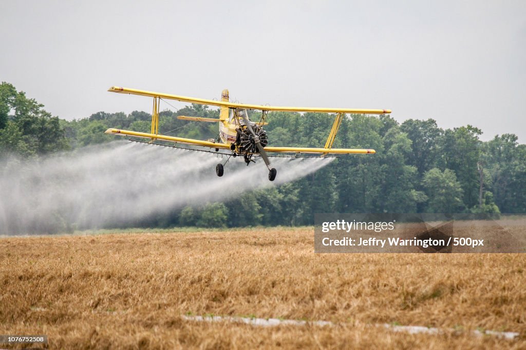 Crop Duster At Work
