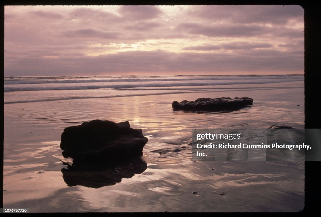 Purple Light on Torrey Pines State Beach News Photo - Getty Images