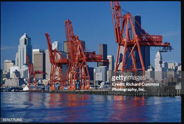 Giant Cranes on Seattle's Harbor