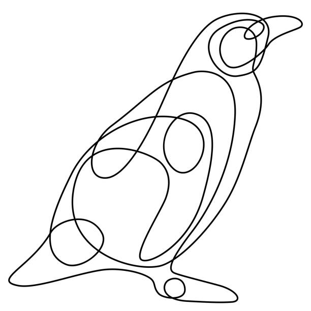 single line animal drawing penguin - zoo art stock illustrations