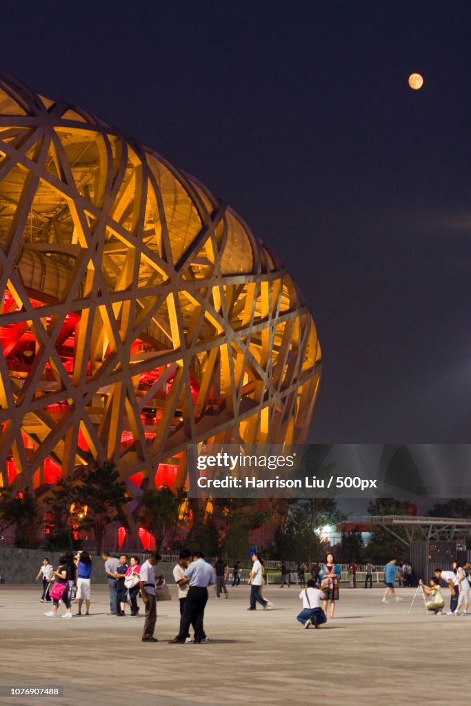 Flocking around the Bird's Nest