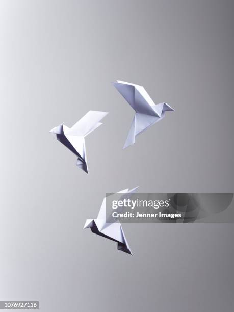 conceptual nature - 3 white origami birds flying. - origami stock-fotos und bilder