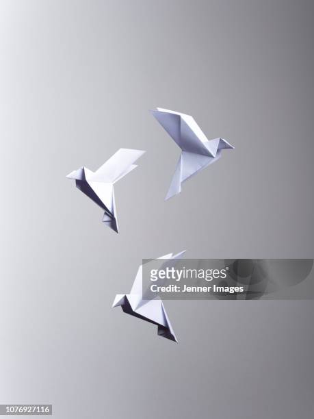 conceptual nature - 3 white origami birds flying. - origami foto e immagini stock