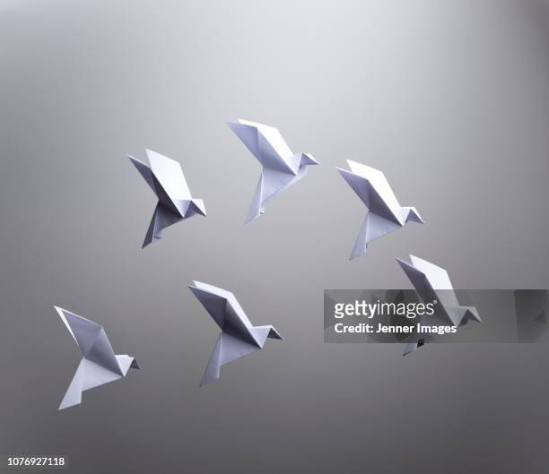 conceptual nature - six origami birds flying. - animaux origami photos et images de collection