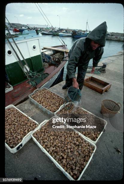 Shellfish Fisher 303 Stephanie Fisher Photos & High Res Pictures - Getty Images