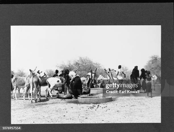 Fulani People At Water Well