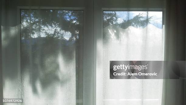 sun beams through white curtains on windows - sun rays through window stock-fotos und bilder