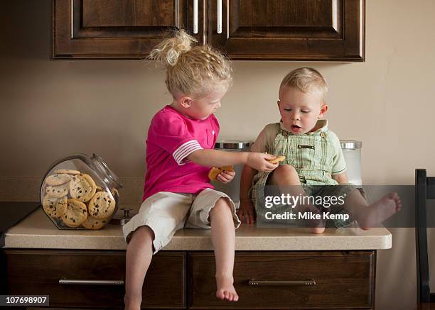 usa, utah, lehi, baby boy and girl (1-3) sharing cookies on kitchen worktop - child cookie jar stock pictures, royalty-free photos & images