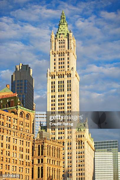usa, new york state, new york city, broadway, woolworth building - woolworth building stockfoto's en -beelden