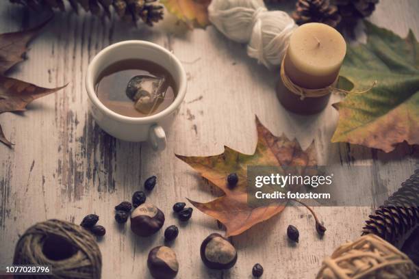 source d’inspiration décoration automne - tea cup overhead view photos et images de collection