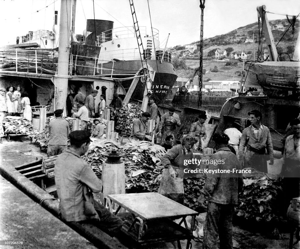 Terre-Neuvas Ships Getting Back To The Harbour In 1951