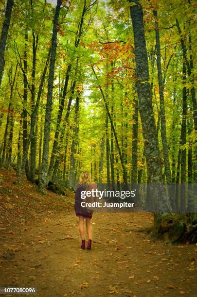 mujer joven rubia de espaldas caminando por un bosque de castaños en otoño - mujer de espaldas stock pictures, royalty-free photos & images