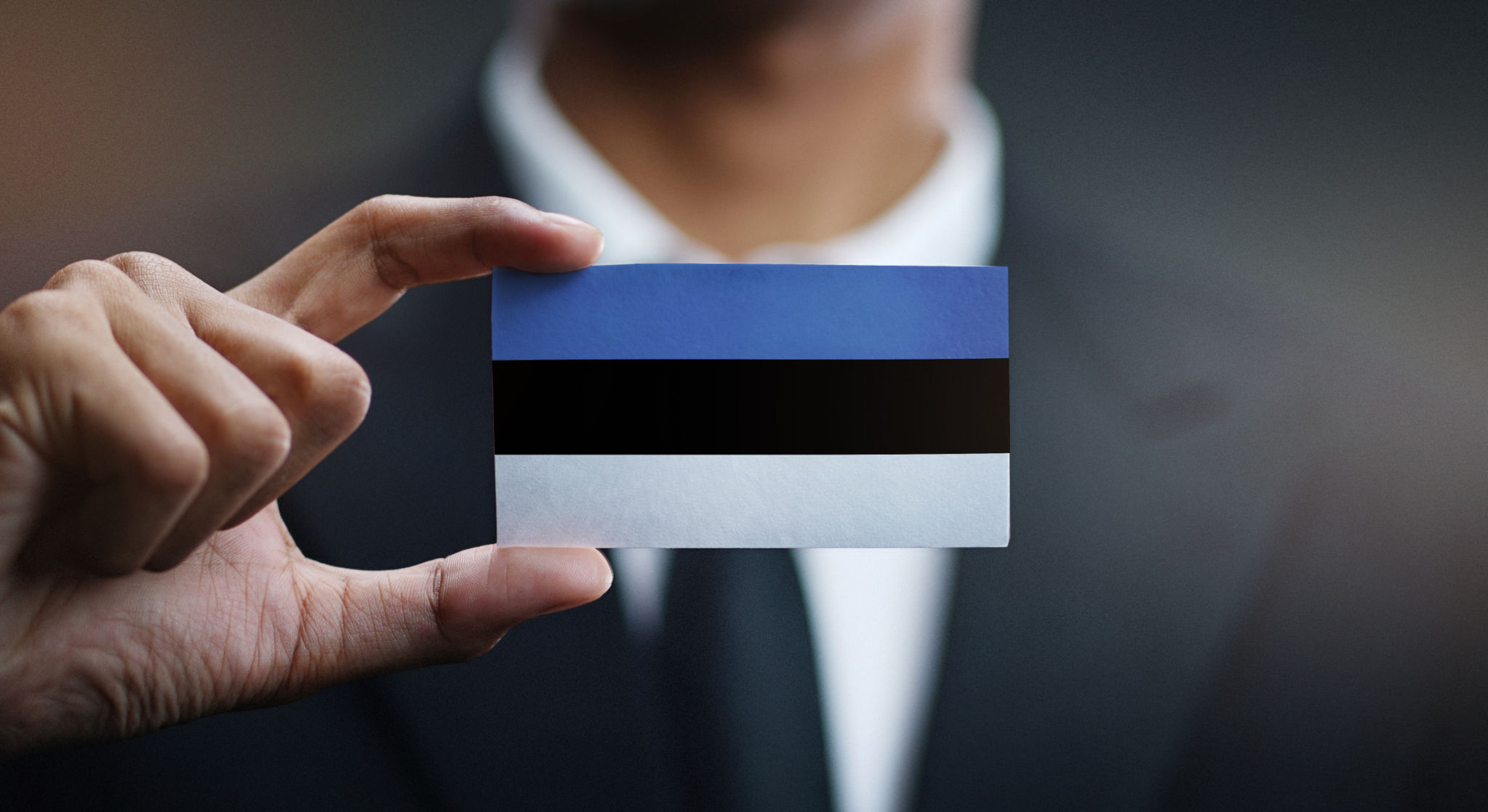 estonia business reporting