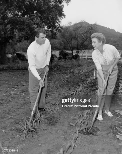 American actress and comedian Eve Arden tends the kitchen garden on her farm, with her husband Brooks West, circa 1955.