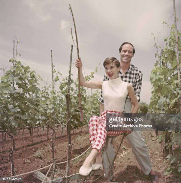 Belgian-born actress Audrey Hepburn ploughing a vineyard with her husband, American actor Mel Ferrer , Italy, circa 1955.