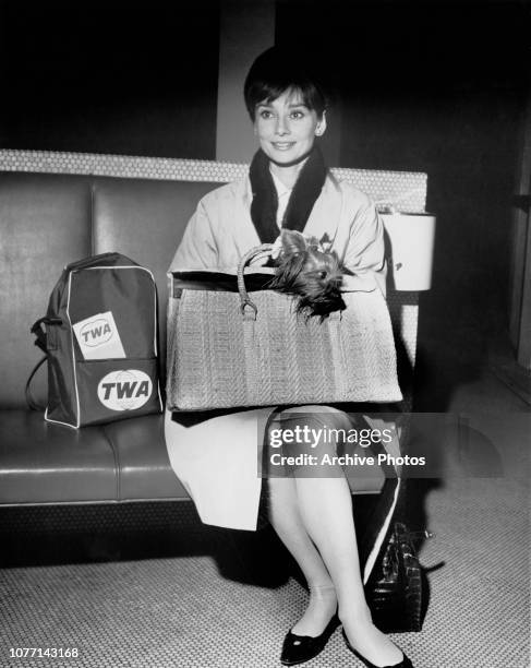 Actress Audrey Hepburn arrives at the Trans World Flight Center of New York International Airport with her dog Assam, 11th December 1963. She is in...