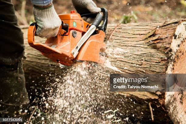 a lumber cutting a tree with a chain saw - wood section fotografías e imágenes de stock
