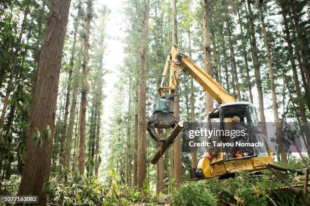 senior men driving heavy machinery and moving timber - industria forestal fotografías e imágenes de stock