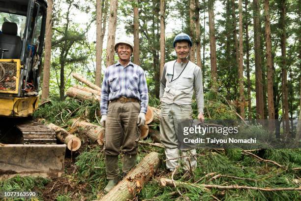 forest worker's portrait - 林業機械 ストックフォトと画像