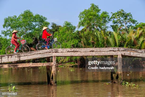 mujeres vietnamitas, montando un bicicleta, delta del río mekong, vietnam - mekong fotografías e imágenes de stock