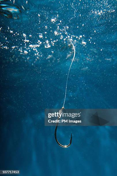 fish hook on line - fishing hook underwater stock pictures, royalty-free photos & images