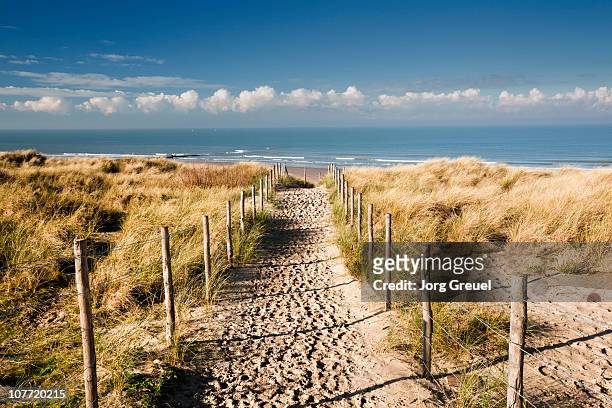 a path through the dunes - beach of ostende foto e immagini stock