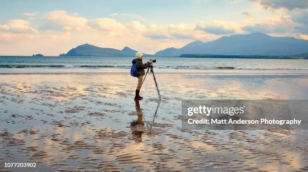 woman photographing at smerwick harbor - old woman bags travel stock pictures, royalty-free photos & images