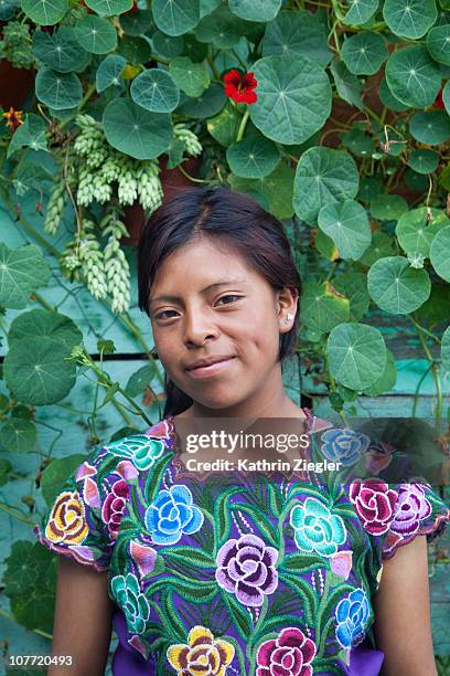 young aztec girl - aztec print stock pictures, royalty-free photos & images