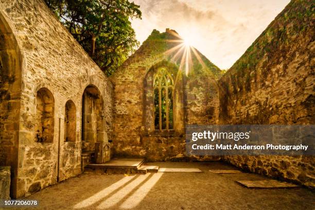 muckross abbey - abby anderson stock-fotos und bilder