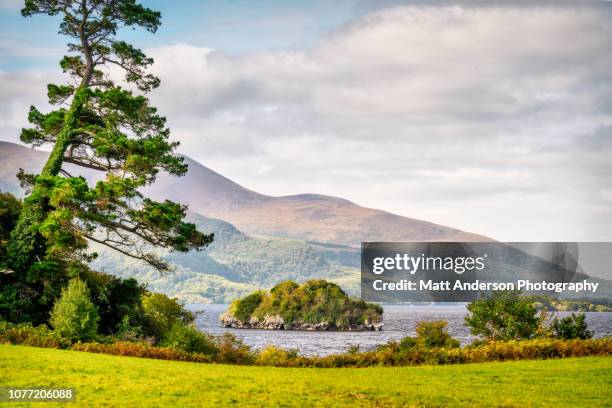 muckross park - killarney lake stock pictures, royalty-free photos & images