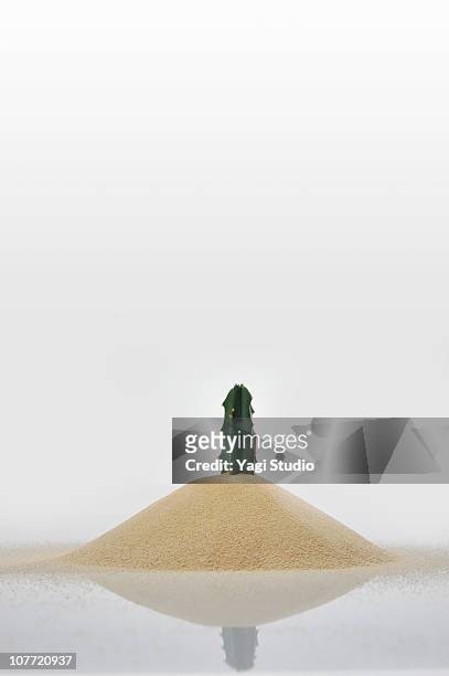 the cactus buried in the sand - sand pile stock pictures, royalty-free photos & images