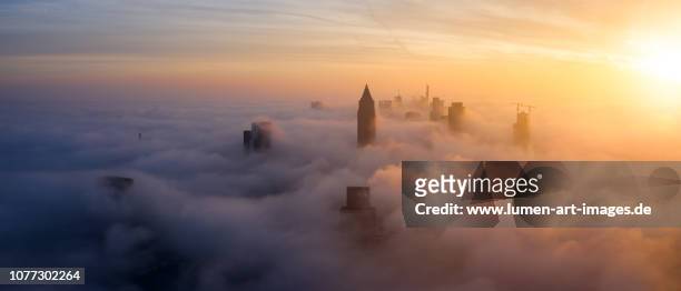 frankfurt sunrise aerial panorama, skyscrapers sticking out of the low fog - hesse germany stock-fotos und bilder
