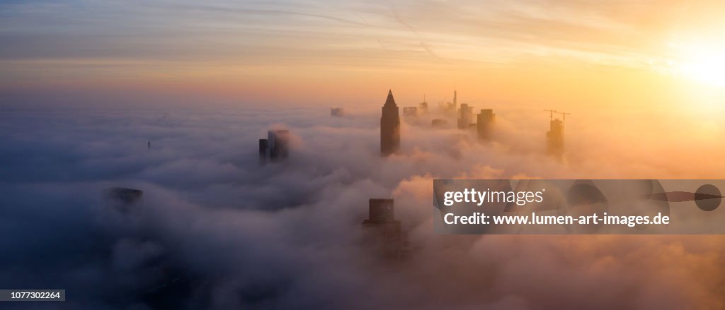 Frankfurt sunrise aerial panorama, skyscrapers sticking out of the low fog
