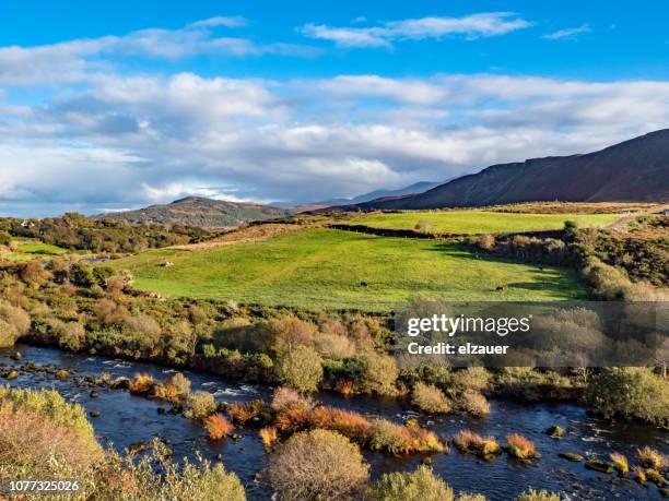 ring of kerry - ireland coastline stock pictures, royalty-free photos & images