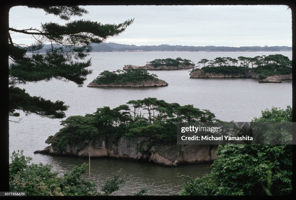 Islands in Matsushima Bay