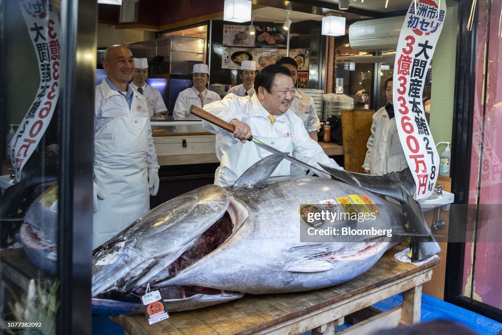 World's Most-Prized Fish Sold for $3.1 Million at Toyosu Fish Market